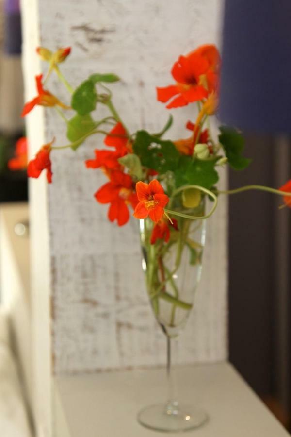 Comme Une Parenthese Au Coeur Des Hortillonnages Amiens Buitenkant foto